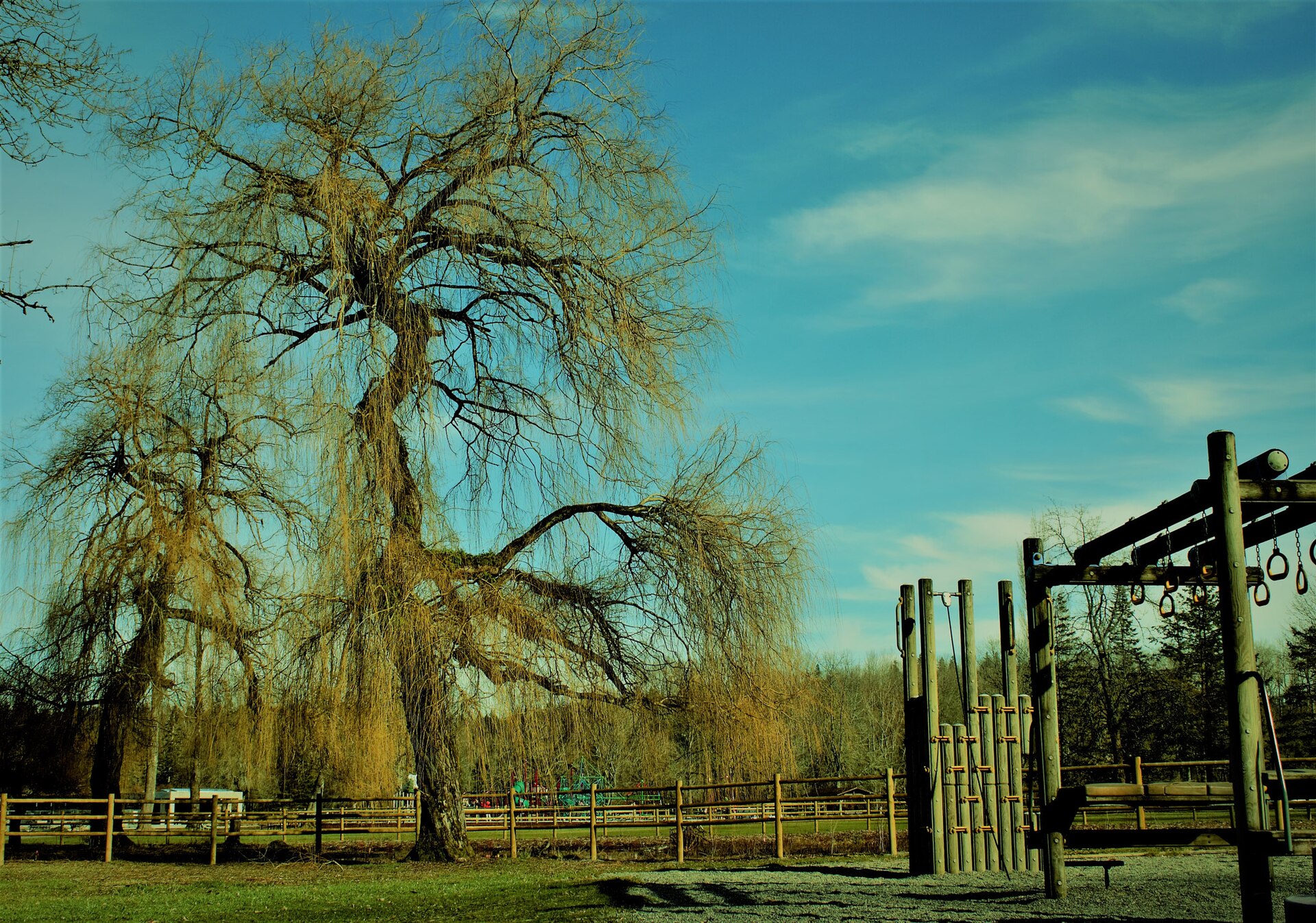 A landscape and play area at Lake Sammamish State Park, photographed in 2011. This is a later view of the park, not a photograph of the 1974 abductions.